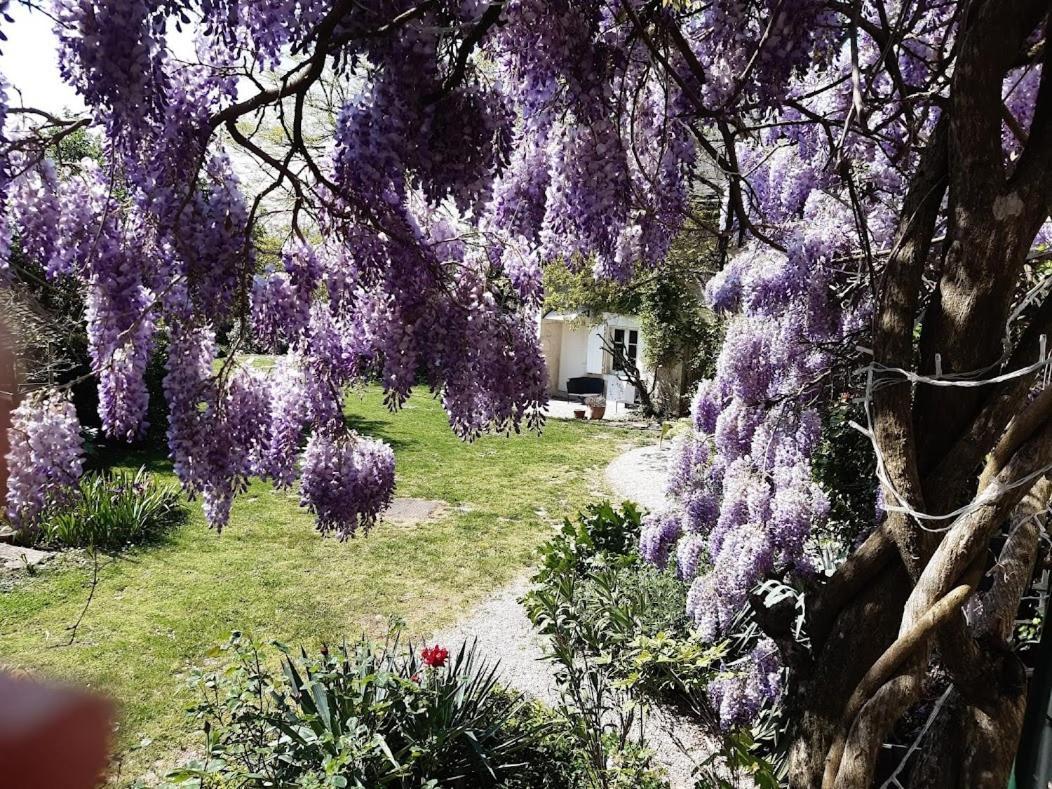 Domaine Les Feuillants Hotell Crouzilles Exteriör bild